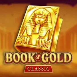 game logo by Playson on voodoos.com.de
