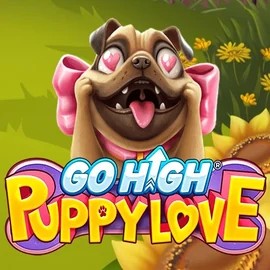 game logo by RubyPlay on voodoos.com.de